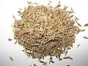 Anise - Pimpinella Anisum